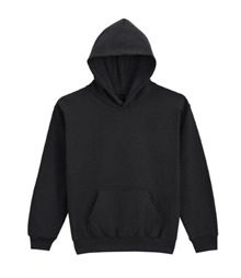 Softstyle Midw Fleece Youth Hoody